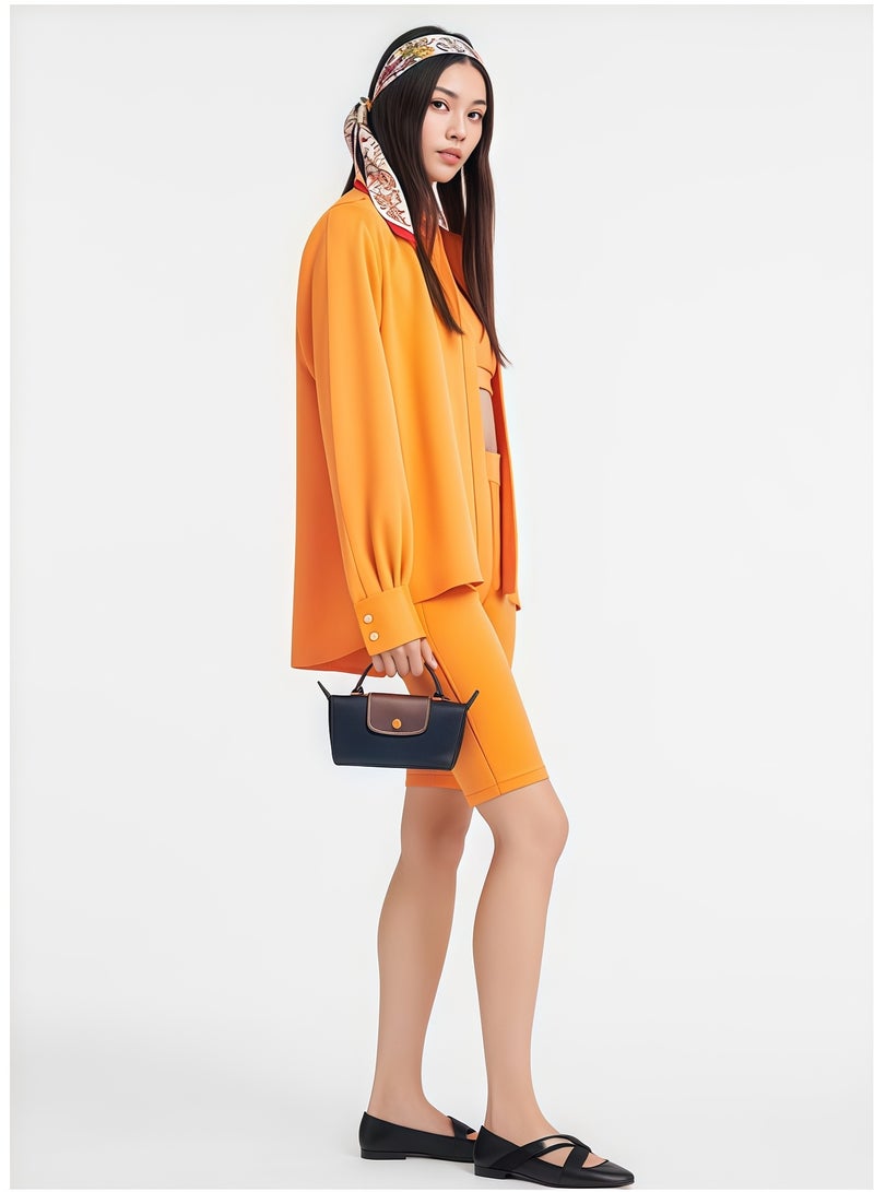 Longchamp Le Pliage mini Shoulder Straps women's Classic Fashion Versatile Mini Makeup Bag, Handbag, Shoulder Bag,shoulder strap - Image 3